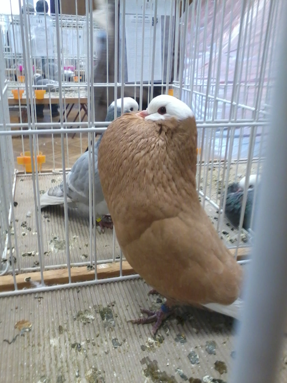 2012-01-15 10.27.43