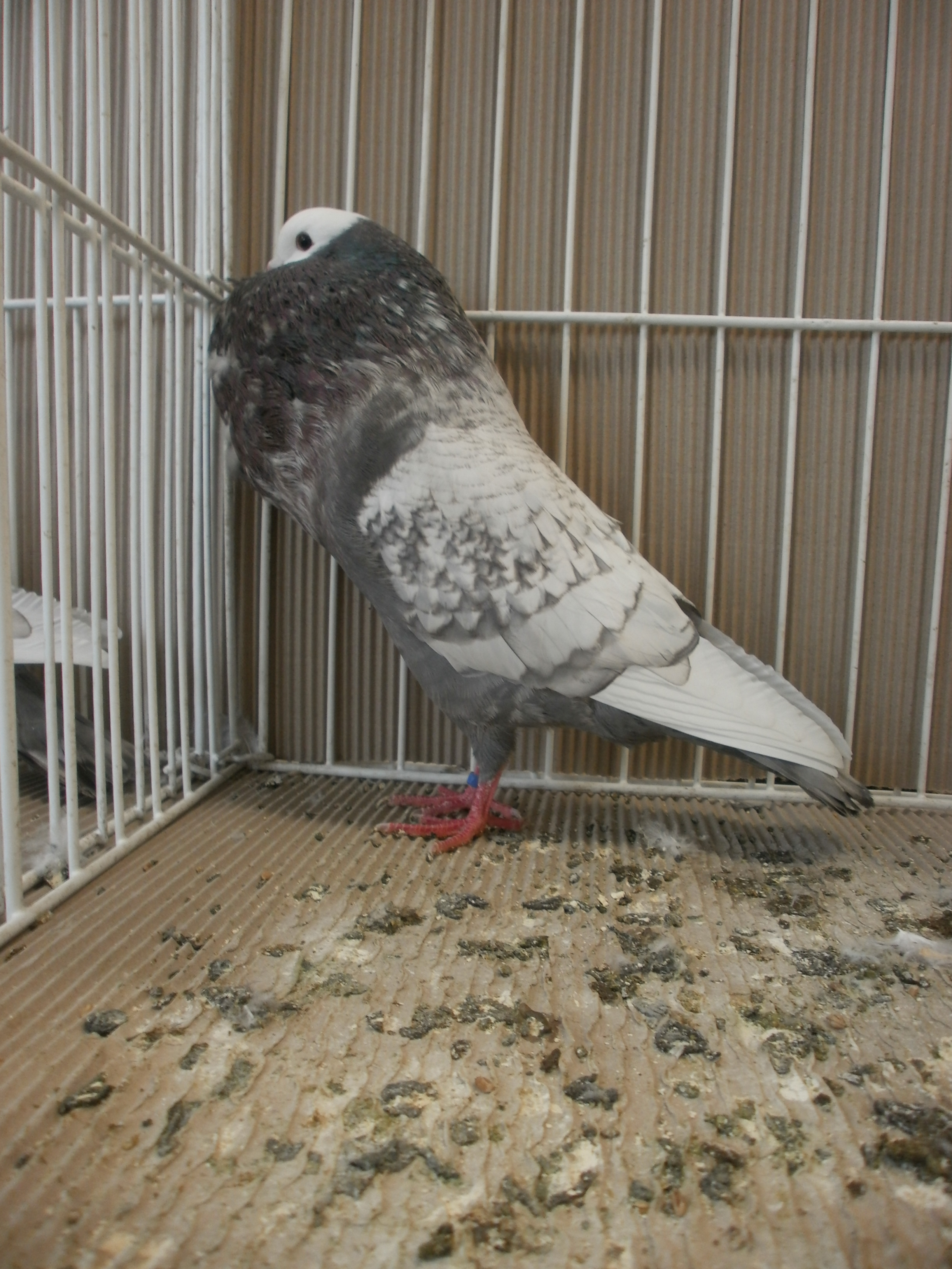 P1210326