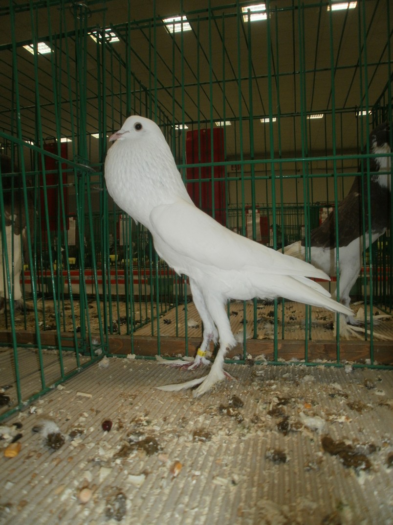 PB251405