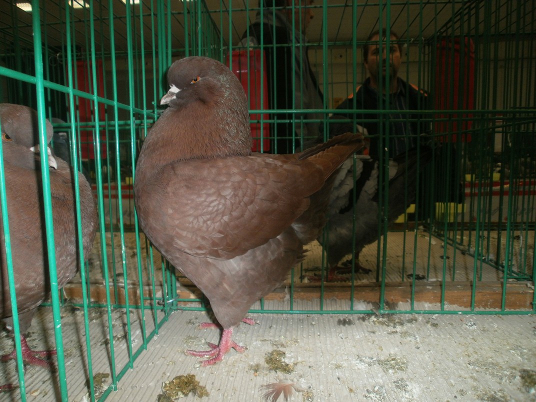 PB251501